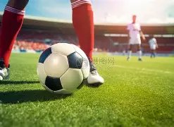 焦点对决,鹈鹕对决篮,揭秘战局走,凯发娱乐,凯发娱乐官方,凯发娱乐官网,凯发娱乐入口,凯发娱乐登录,凯发娱乐链接