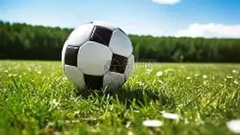 王钰栋华丽转身！前莱万、拜尔御用经纪公司，旗下球星遍布德瑞足球盛宴！